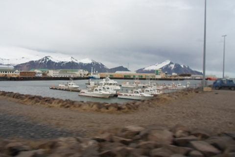 Fishing boats in the harbour of Höfn í Hornafirði, south-east Iceland
